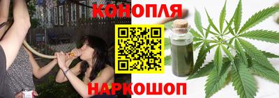 ALPHA PVP Гудермес
