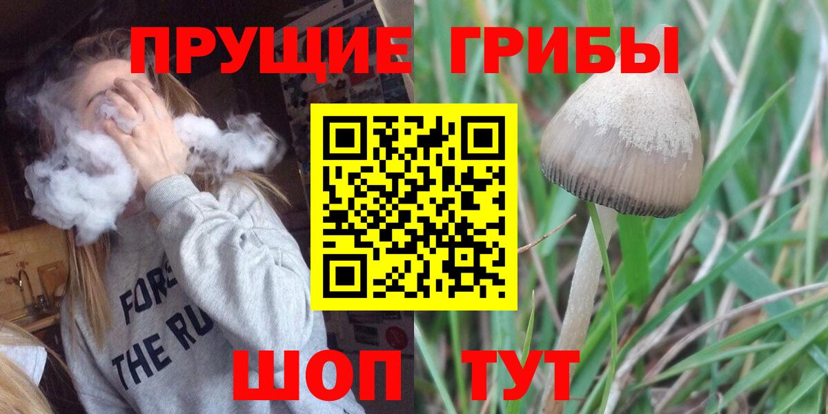Галлюциногенные грибы Psilocybine cubensis  Вход с VPN  Барнаул  Псилоцибиновые грибы прущие грибы 