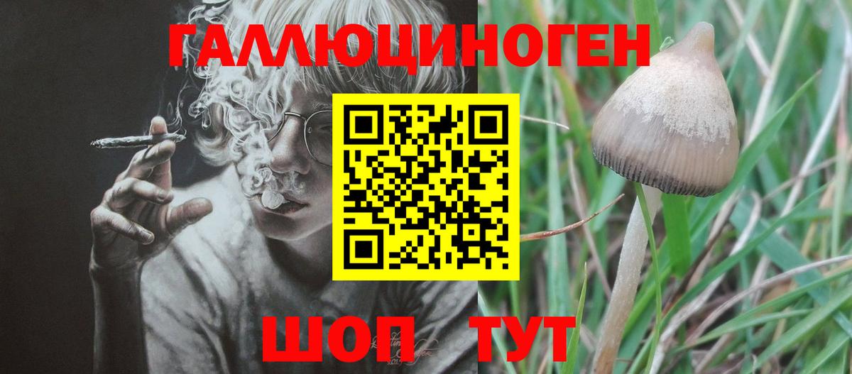 Галлюциногенные грибы Magic Shrooms Барнаул
